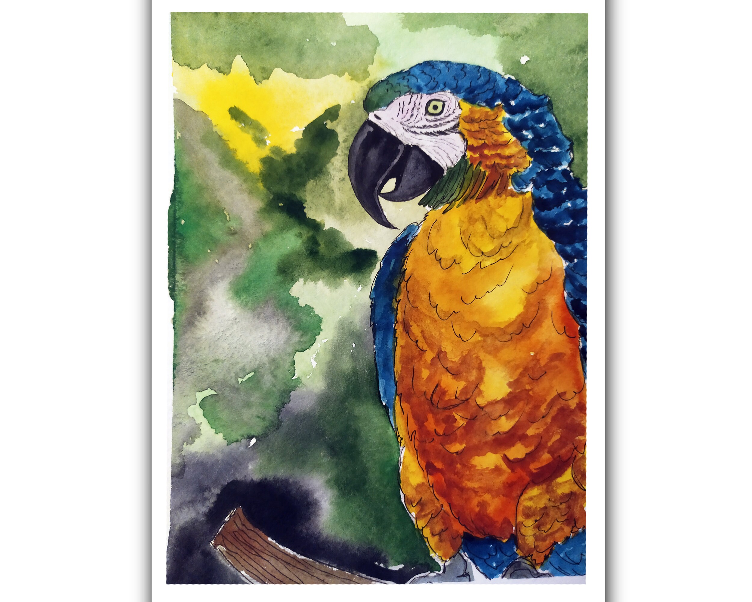 Papagei Gemälde Original Vogel Kunst Blau Vogel Wand Kunst Etsy