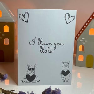 Biglietto d'auguri carino per San Valentino con lama e alpaca - amante degli animali - partner, fidanzata, fidanzato - unico e stravagante - amore - anniversario