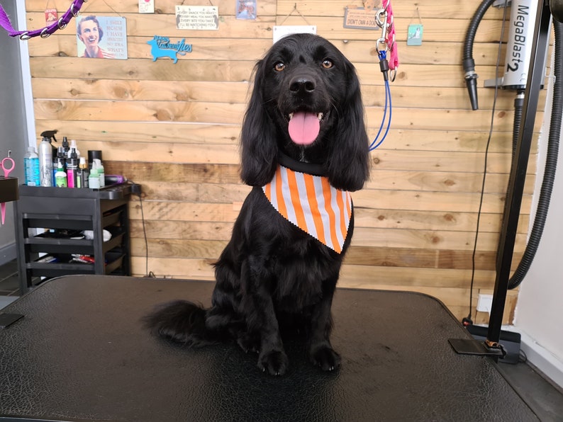 100 Tieback Dog Grooming / Groomers Bandanas Bulk Etsy Australia