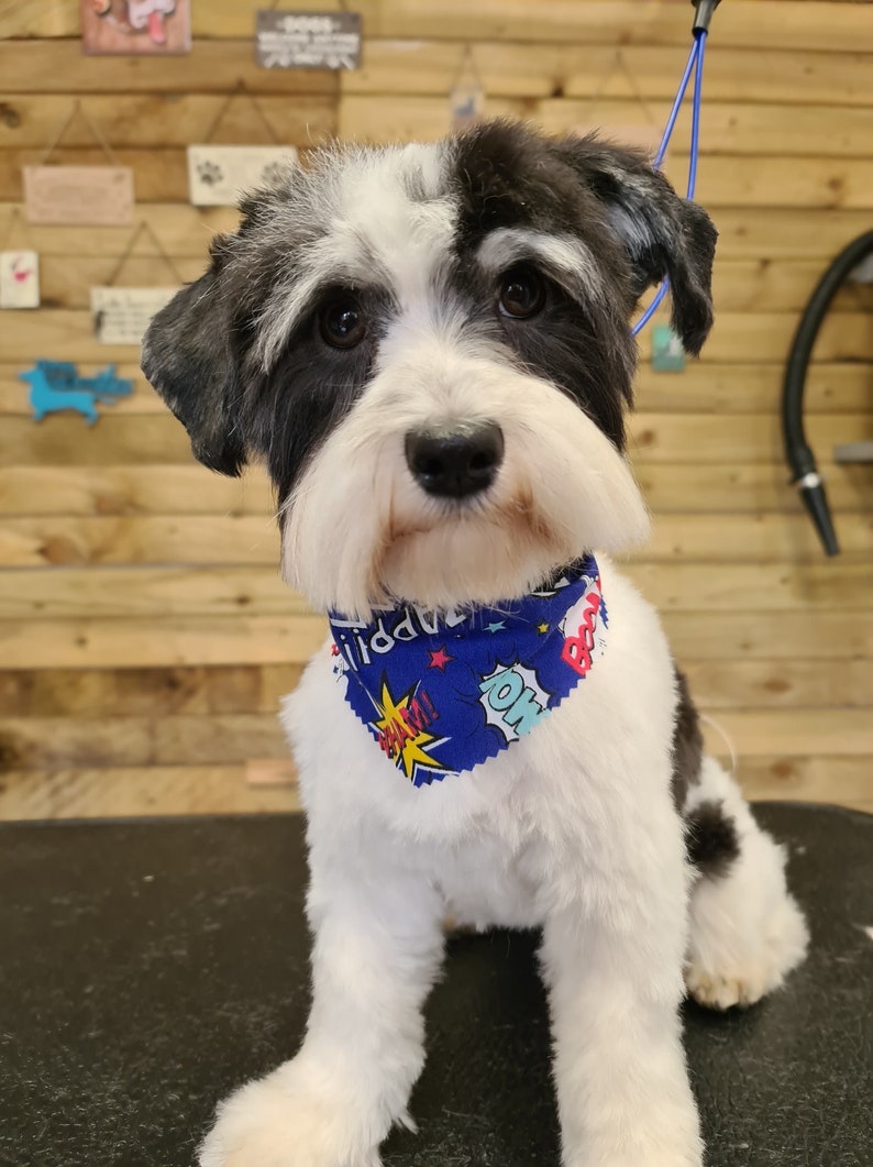 100 Tieback Dog Grooming / Groomers Bandanas Bulk Etsy UK