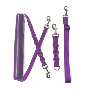 May include: Purple dog lead with a padded handle and two separate leads with metal clips.
