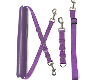 May include: Purple dog leash with a padded handle and two separate leashes with metal clips.