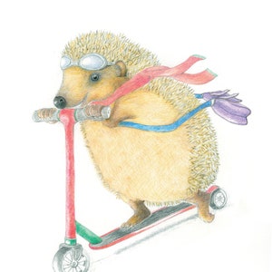 HÉRISSON SUR UN SCOOTER