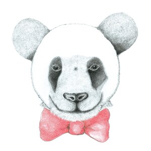 PANDA CON PAPILLON
