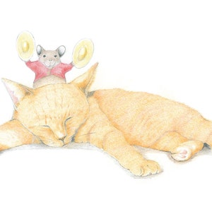 GATO DORMINDO