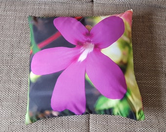 Carnivorous plant Butterworth Pinguicula Sethos pillow cover unique Home decor SUPER GIFT