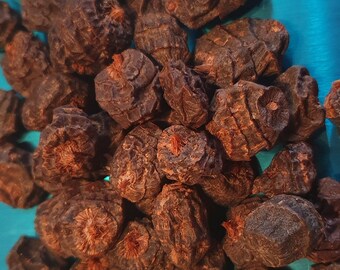 Black big Tiger nuts Cyperus esculentus Earth Almond 50 g ~ 50 tubers