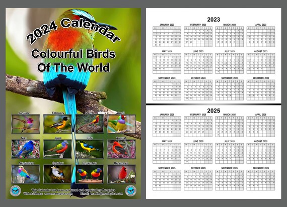 Calendrier 2024 d'oiseaux extrêmement précis Calendrier des oiseaux 2024  Calendrier mural