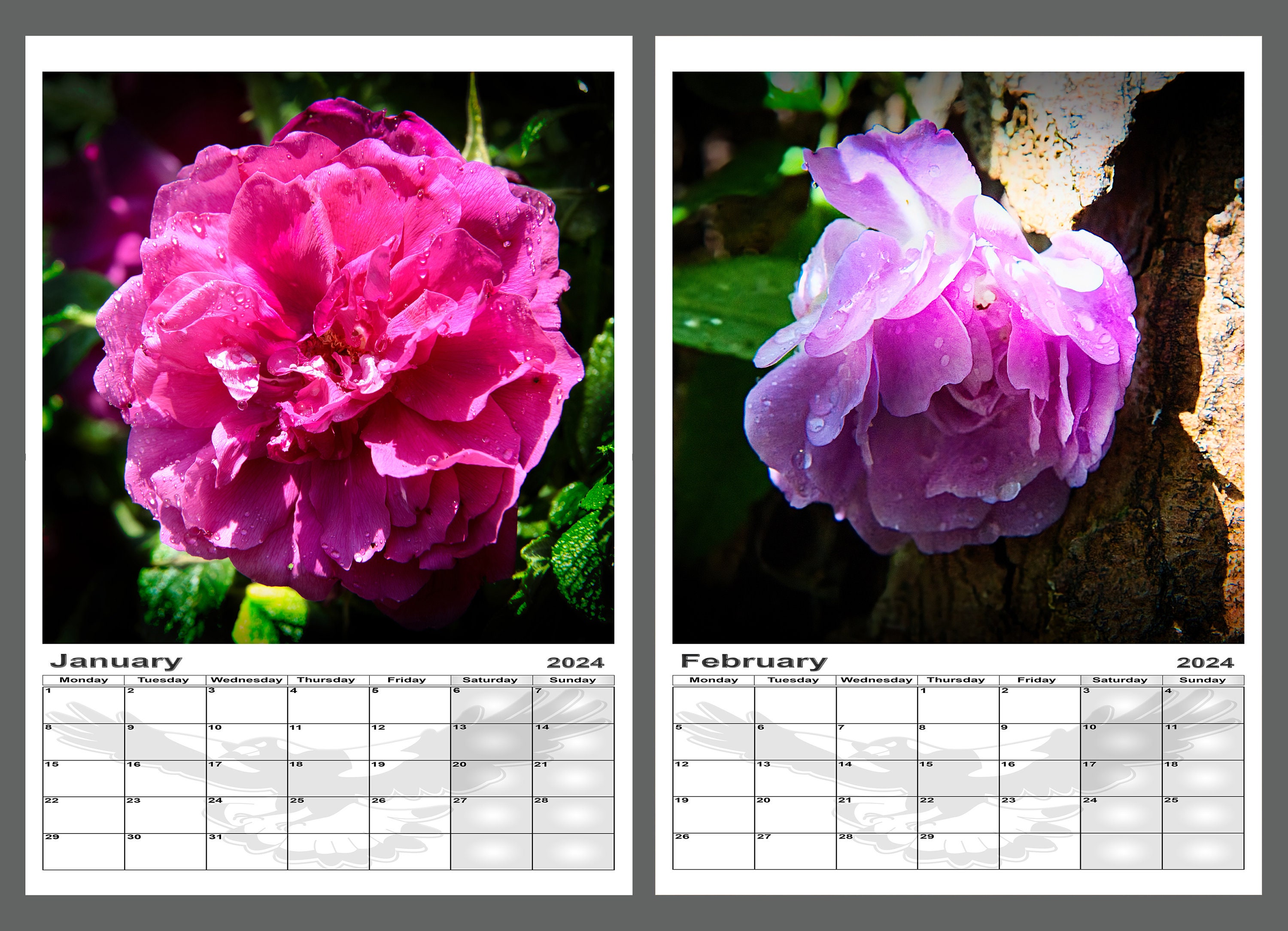 Roses, Grand format - Grand calendrier avec 12 belles photos de roses - 2024  :: La Maison de la Bible France