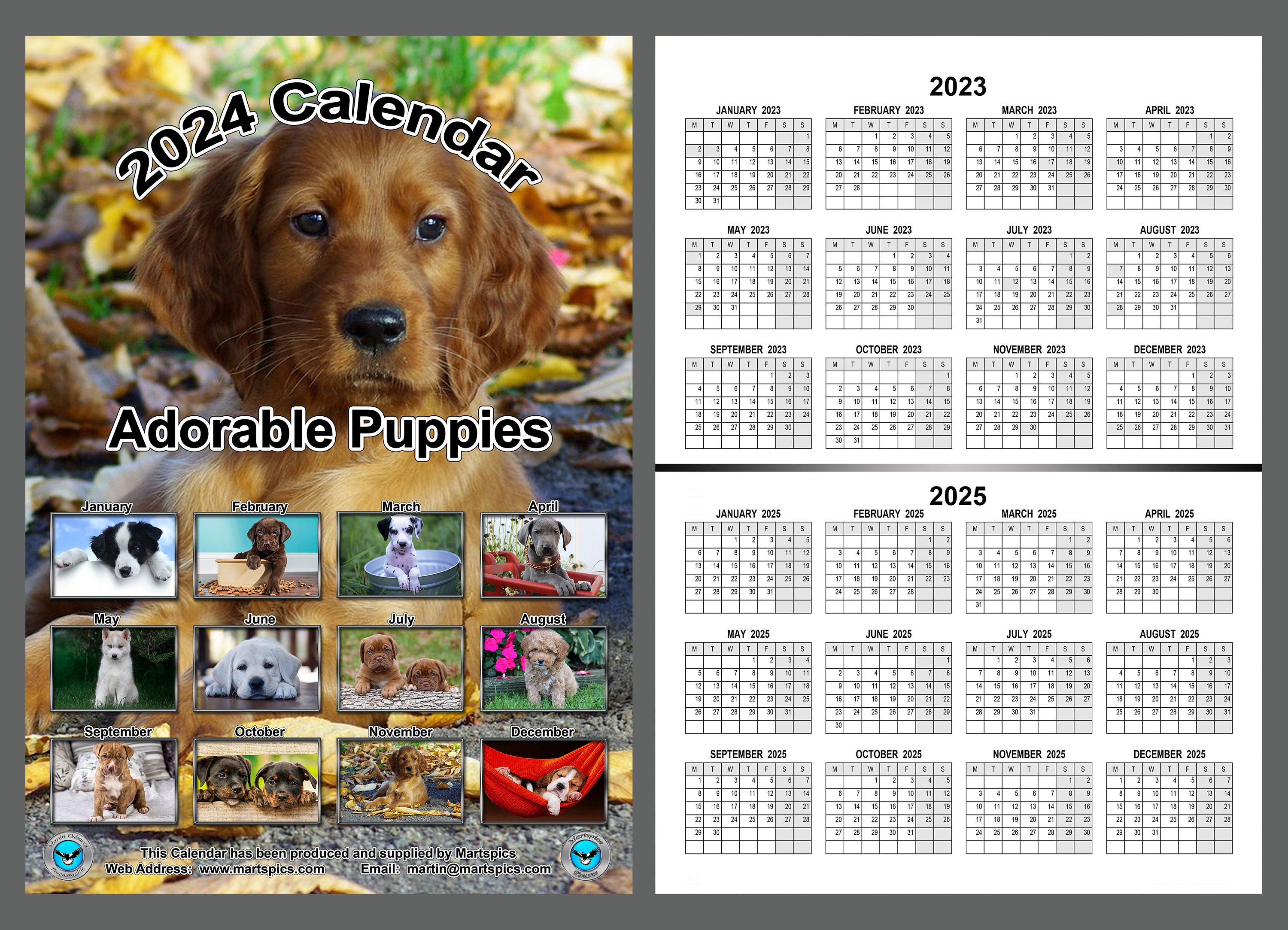 PERIODIQUE CALENDRIER CHIENS 2024