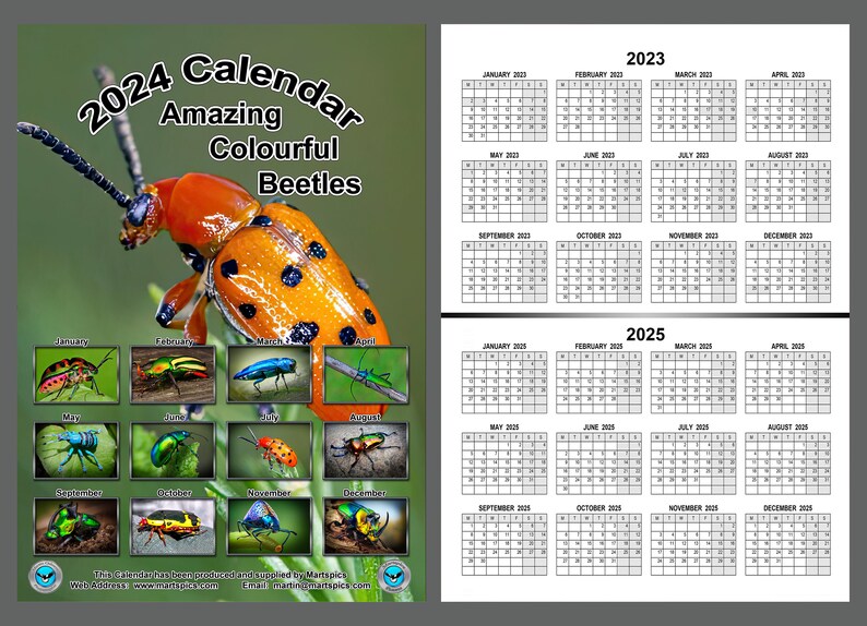 Calendar 2024 Amazing Colourful Beetles. 14 Full A4 Size Gloss Pages