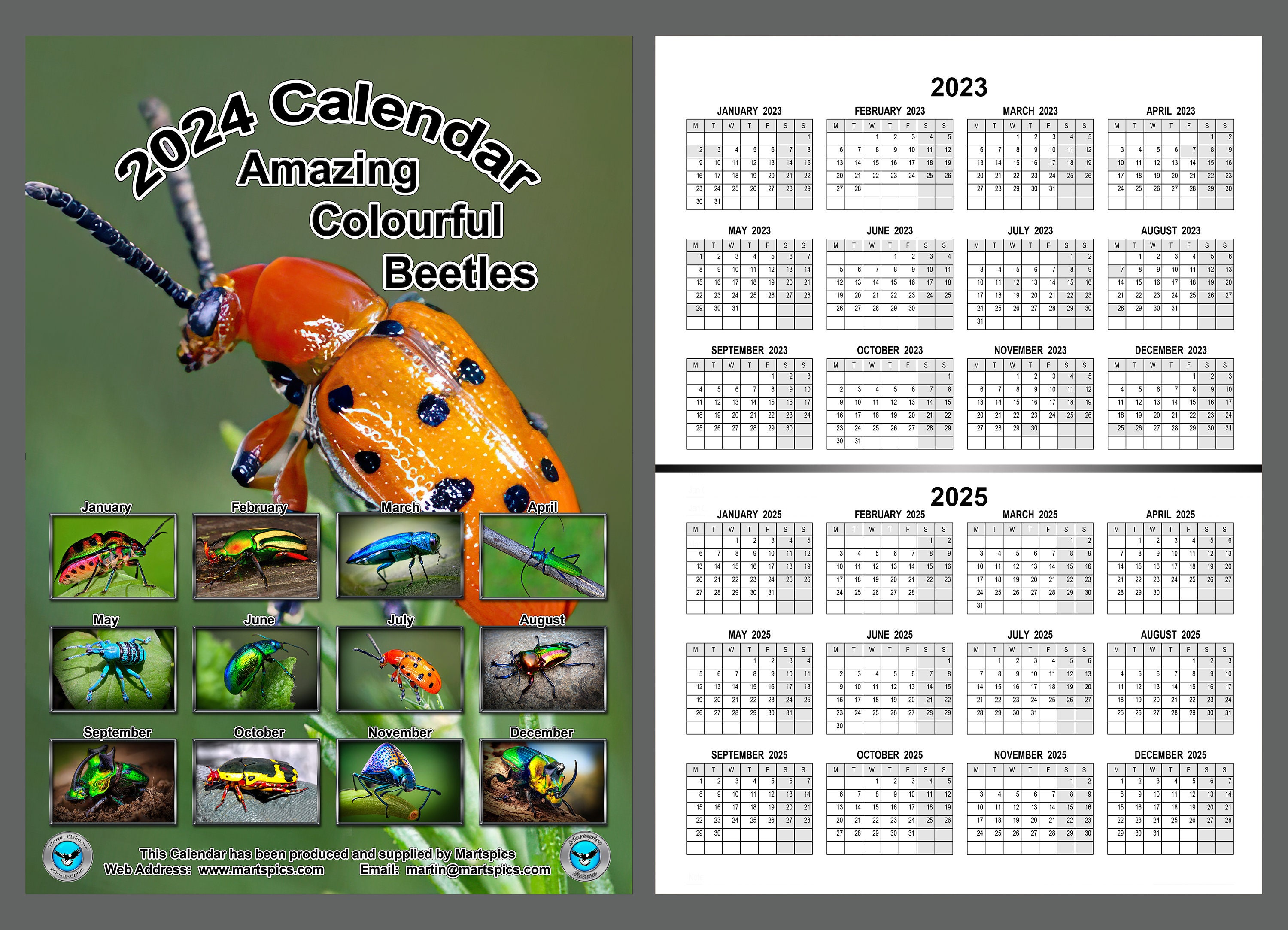Calendar 2024 Amazing Colourful Beetles. 14 Full A4 Size Gloss Pages