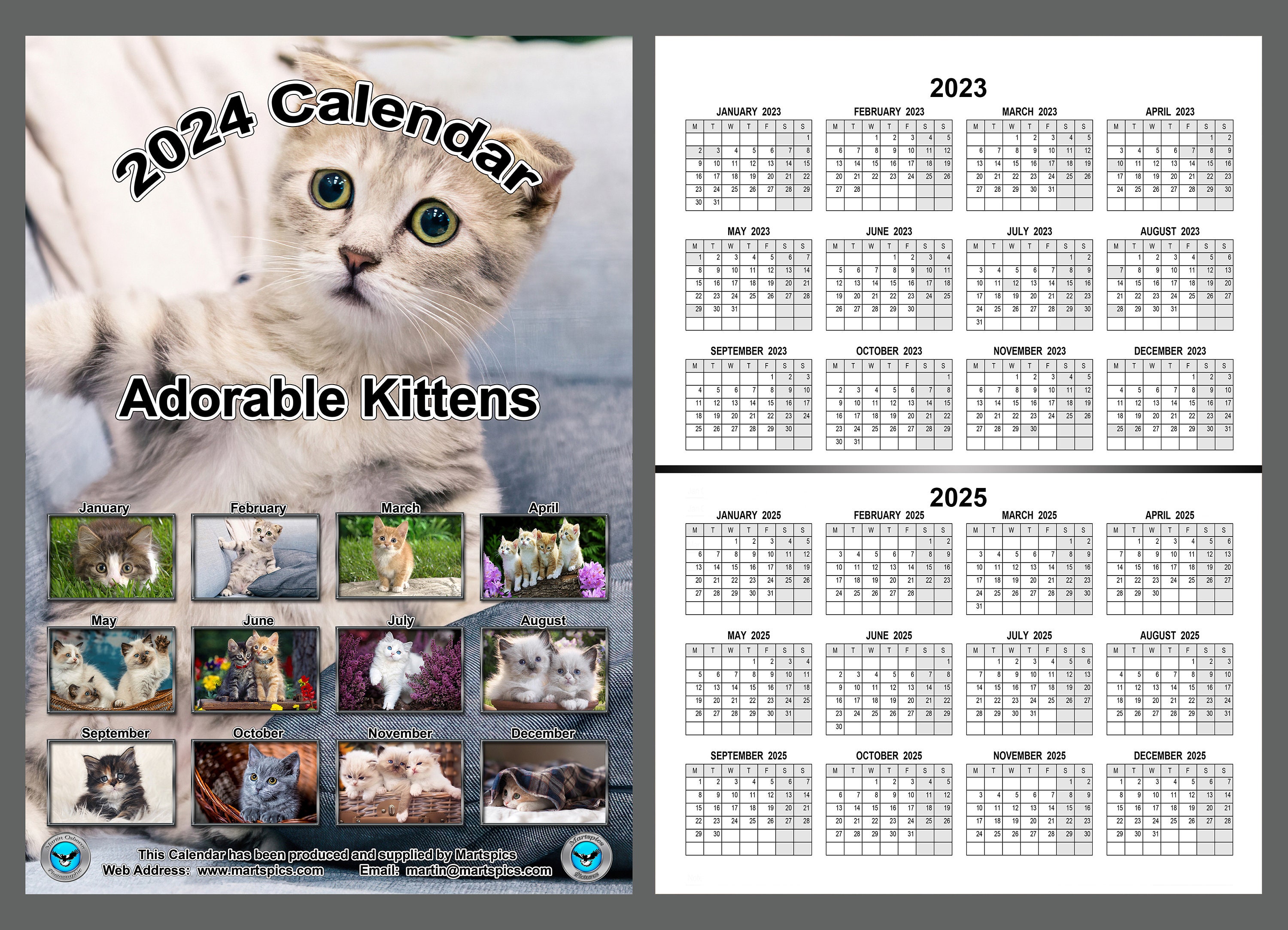 Kitten Calendar 2025 Adorable Kitten Yearly Calendar Cute Cat Etsy