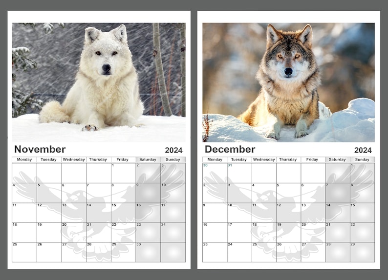Wolf Calendar 2024 Amazing Wolves Calendar 14 Full A4 Size Etsy Canada