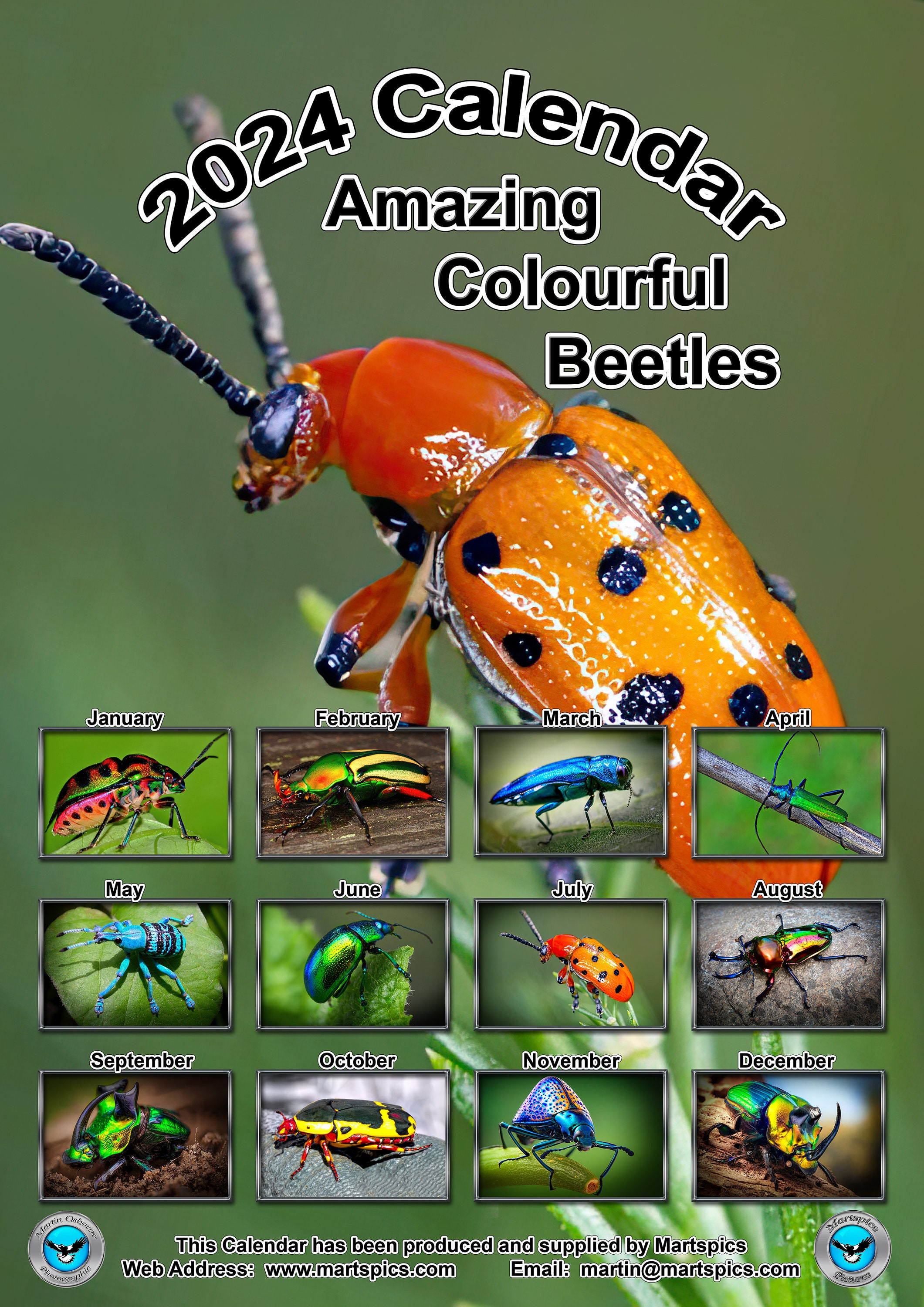 Calendar 2024 Amazing Colourful Beetles. 14 Full A4 Size Gloss Pages
