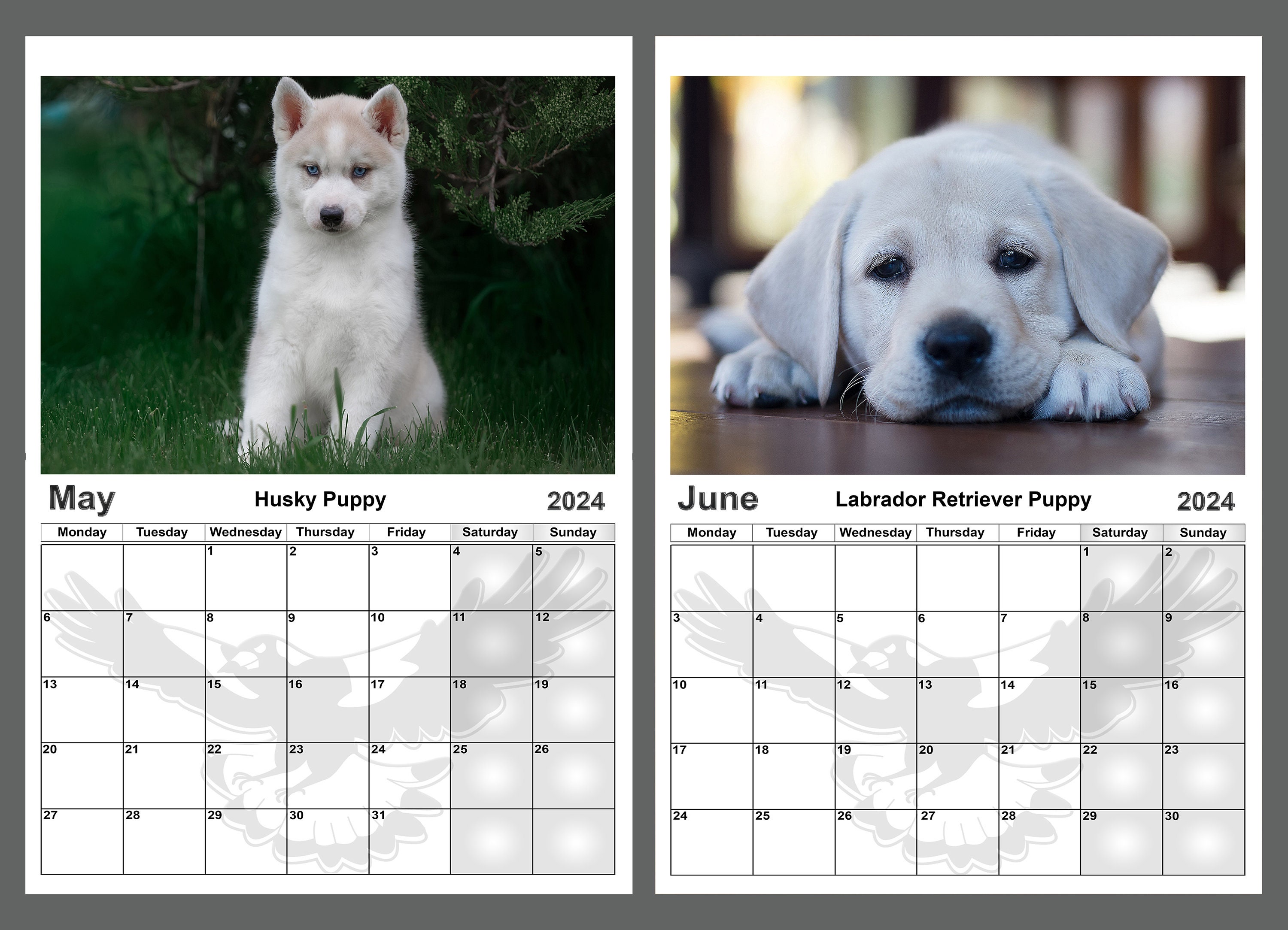  Calendrier 2024: Professionnel avec de Magnifiques Images de  Chiots et Chatons Mignons - 37 Pages de Calendrier 2024 Chats et Chiens  Adorables en  Nature et Chiots et Chatons (French Edition): Nature, Calendrier  2024: Libros