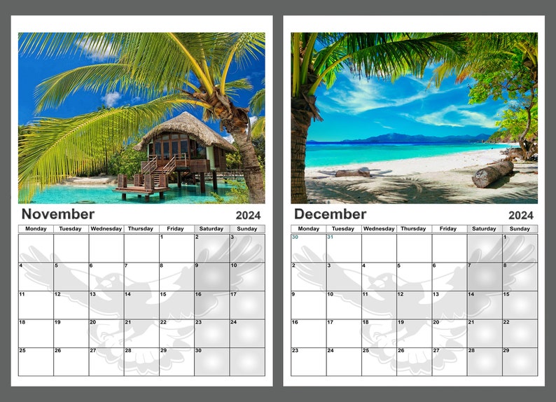 Calendar 2024 Tropical Paradise 14 Full Gloss Pages Beautiful Etsy