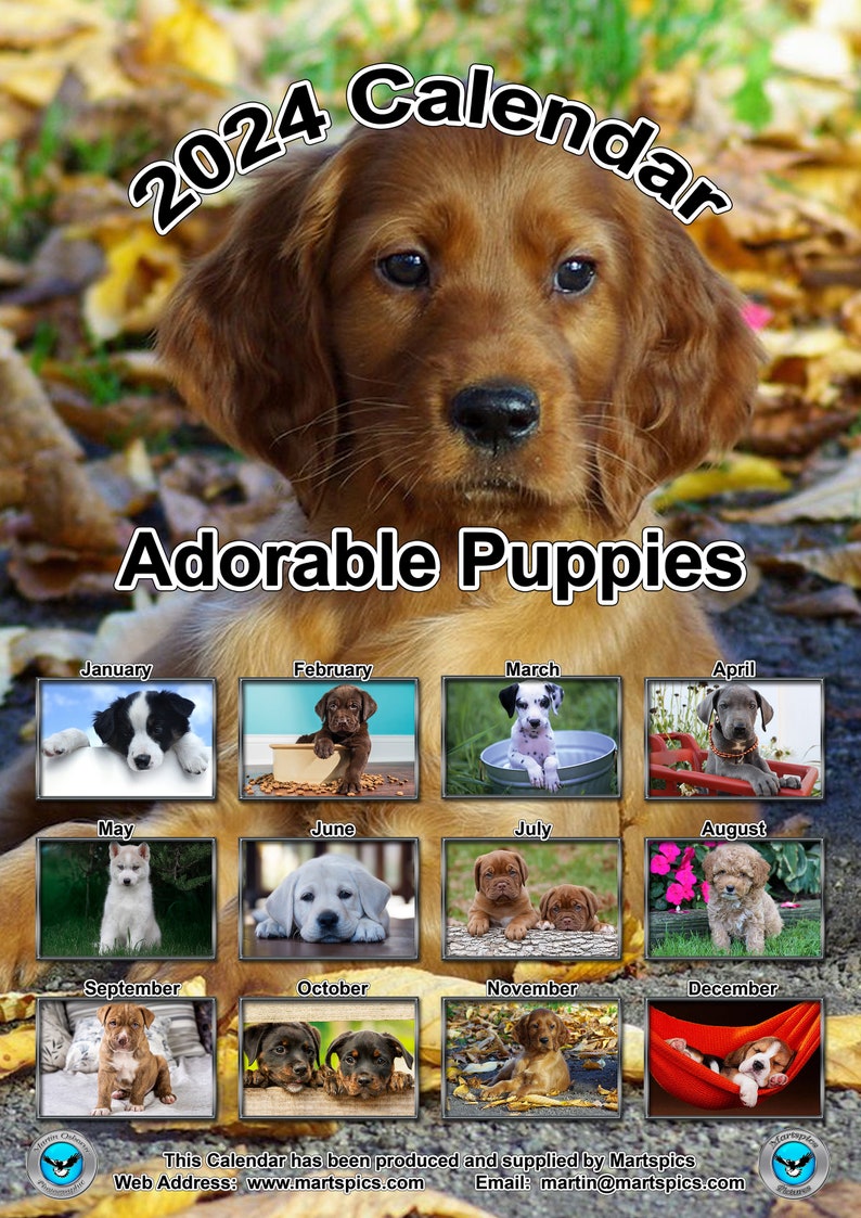 Puppy Calendar 2024 Adorable Puppies Yearly Calendar Puppy Dog Etsy