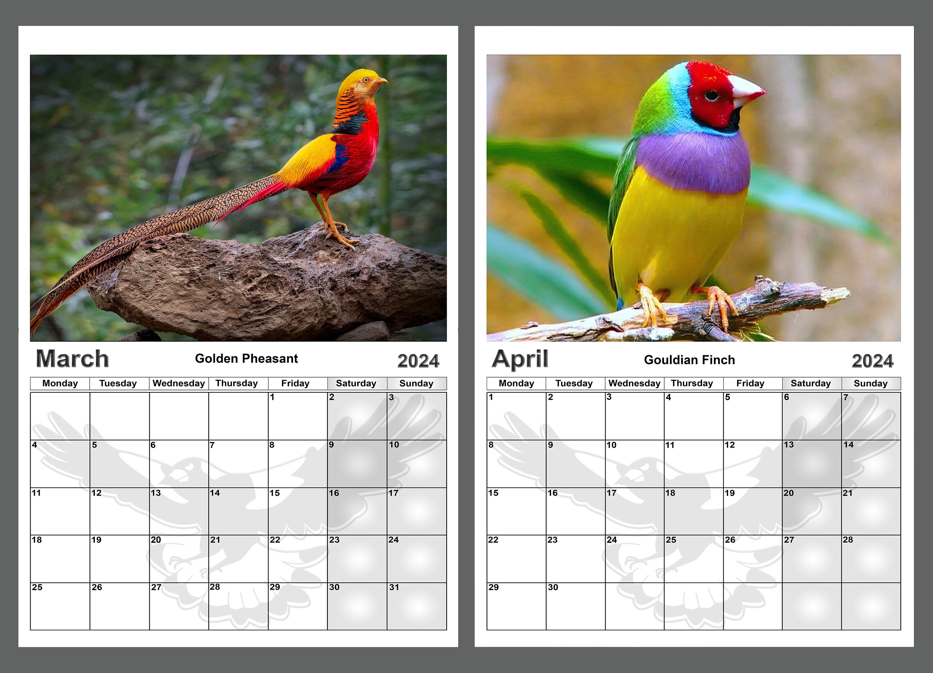  2024: Thème : Oiseaux - Un calendrier de bureau 2024 avec des  photos spectaculaires et des espaces pour les notes - Format carré 21,59 x  21,59 cm – en couleur premium (French Edition): Yassinos, Edition:  Electronics