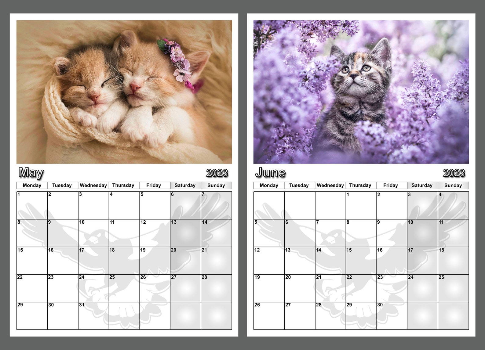 Kitten Calendar 2023 Adorable Kitten Yearly Calendar Cute Cat Etsy Australia