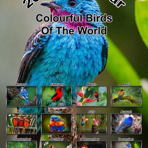 Calendrier Celtique 2023 Calendrier 2023 Warwick Castle 14 Pages Complètes Sur Papier | Etsy France