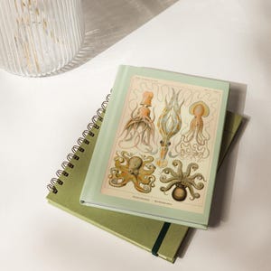 Hardcover journal (matte) featuring scientific illustration of squid and octopus