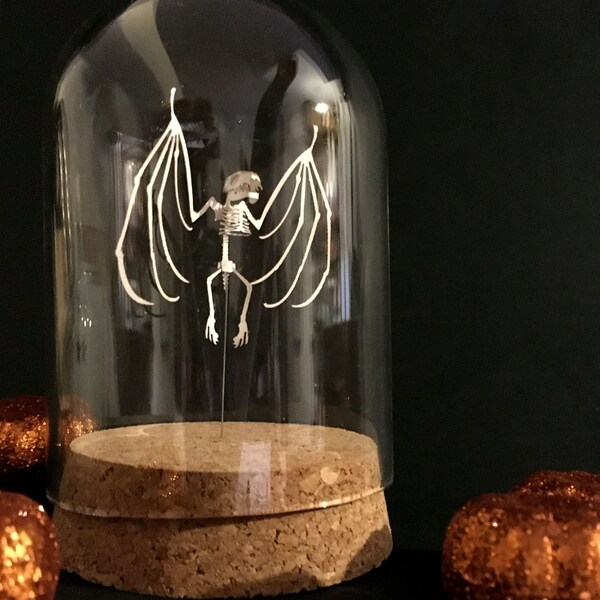 Tiny Papercut Fruit Bat Skeleton Paper Sculpture Bell Jar Taxidermy