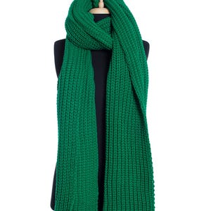 Peut inclure: Une écharpe en tricot verte présentée sur un mannequin.
