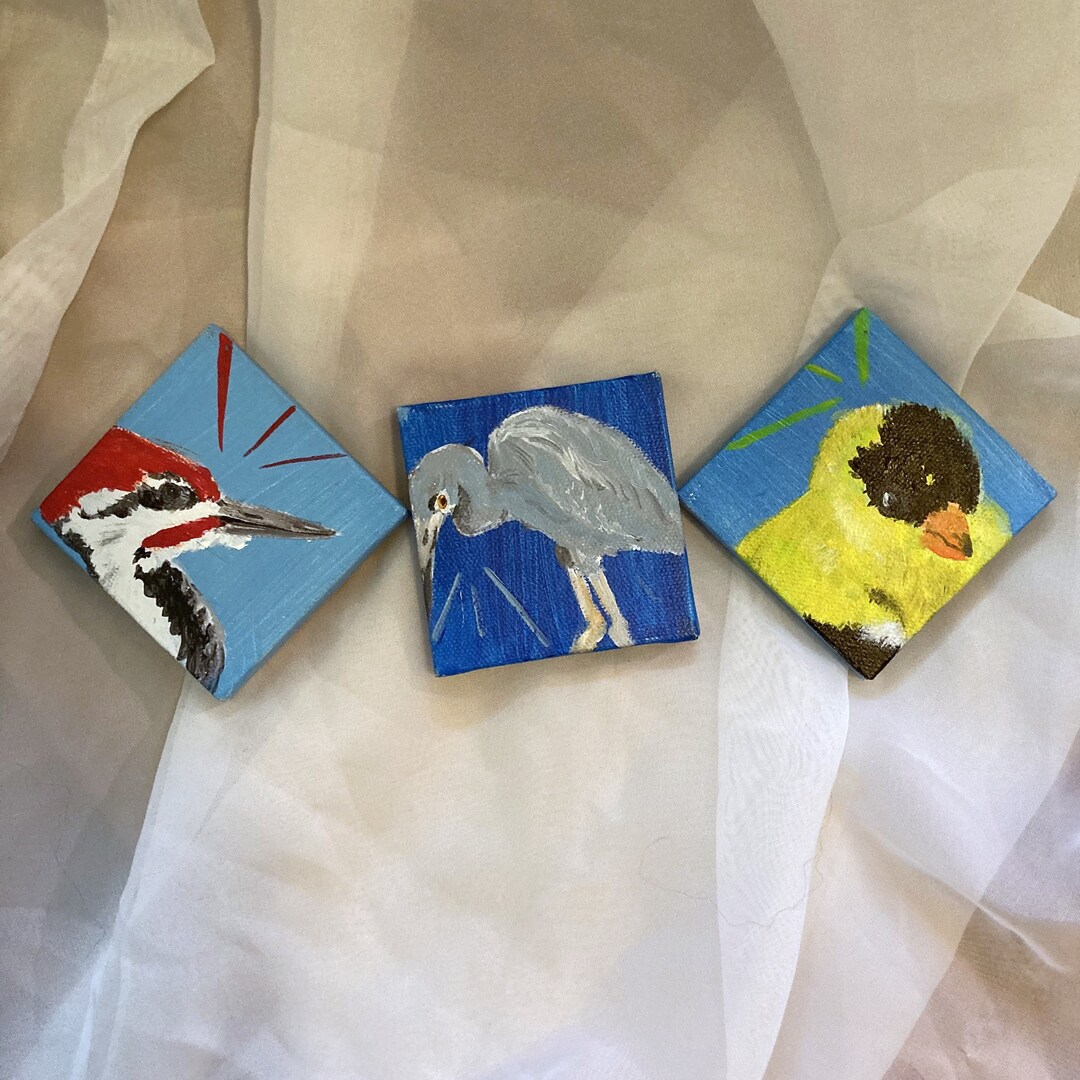 Backyard Birds Miniature Migratory Bird Triptych Set of 3 Canvases