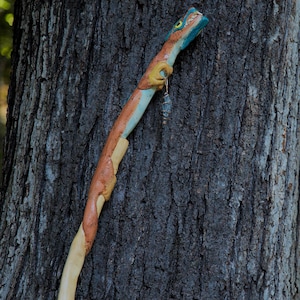 Östlicher chinesischer Drachen-Gehstock, schnitzen, künstlerischer (gelbe Tulpe/Pappel) Wanderstab, nachhaltige Kunst