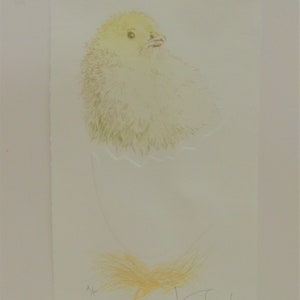 Chick with Egg lithograph, limited edition Artist Proof