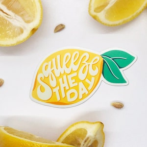 Squeeze the Day Sticker, Vinyl Sticker, Hand-Lettered, Waterproof image 1