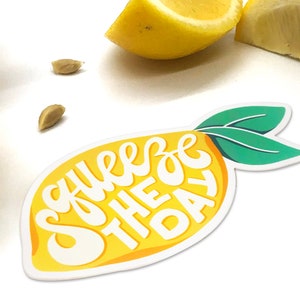 Squeeze the Day Sticker, Vinyl Sticker, Hand-Lettered, Waterproof image 4