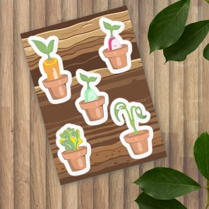 Puede incluir: Cinco pegatinas de plantas coloridas sobre un fondo de madera marrón. Las pegatinas muestran diferentes plantas en macetas, incluyendo una zanahoria, una planta verde, un rábano y una planta de hoja verde.
