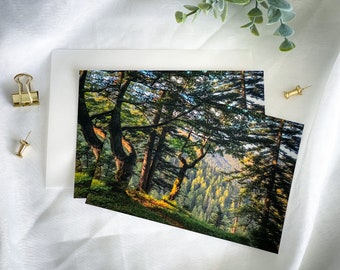 Photo postcard A6 &quot;The forest like a painting&quot; | Nature photography | Mountains | Trees | Greeting card