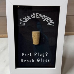Può includere: Una scatola ombra con cornice bianca con sfondo nero. Il testo "In Case of Emergency" è arcuato in alto. Un tappo di sughero è al centro. Il testo "Fart Plug? Break Glass" è in basso.