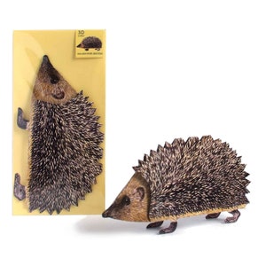 Carte de vœux 3D Animal Hedgehog Carte postale Pop-up Card