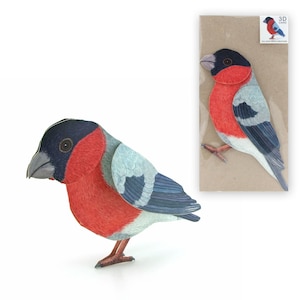 3D-Tierfaltkarte "Dompfaff" Grusskarte Karte Popupkarte