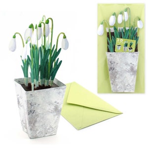3D-Blumenkarte "Schneeglöckchen" Grußkarte, Pop-up-Karte, Frühlingsgruß