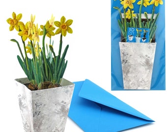 3D Greeting Card "Daffodil" Pop-up Card Postcard Easter Card