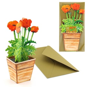 3D-Blumenkarte "Mohn"