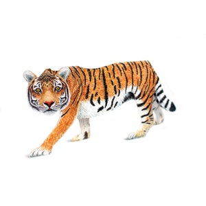 3D-Tierkarte "Tiger" Grußkarte Postkarte Pop-up-Karte