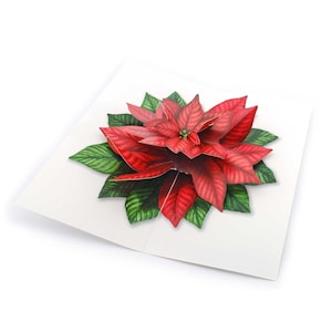 Pop-up-Karte "Weihnachtsstern"