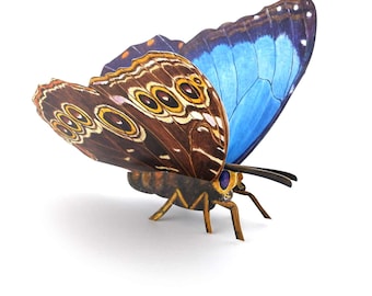 Biglietto d'auguri 3D farfalla "Morpho Peleides" cartolina pop-up