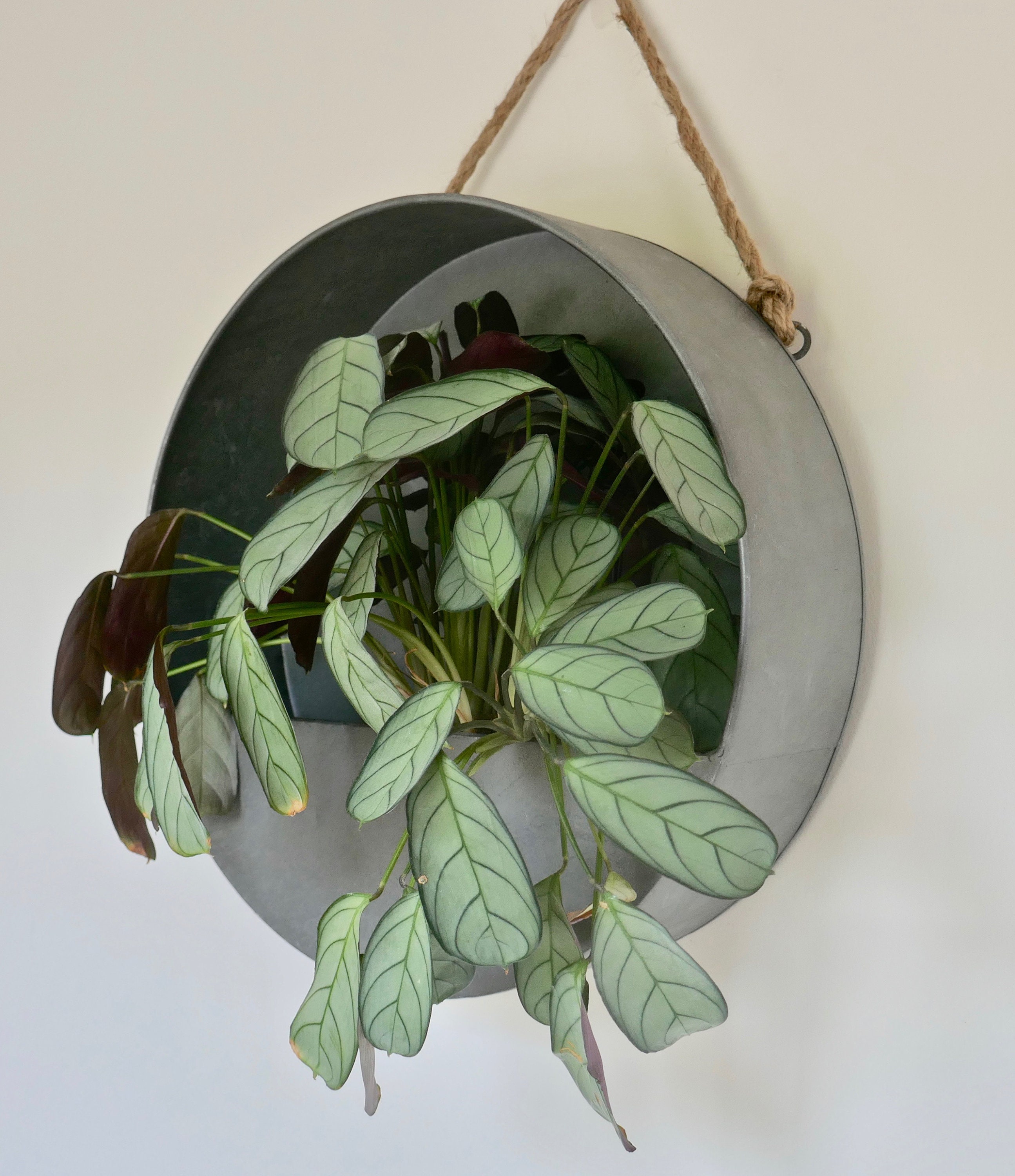 Round Zinc Hanging Wall Planter Etsy