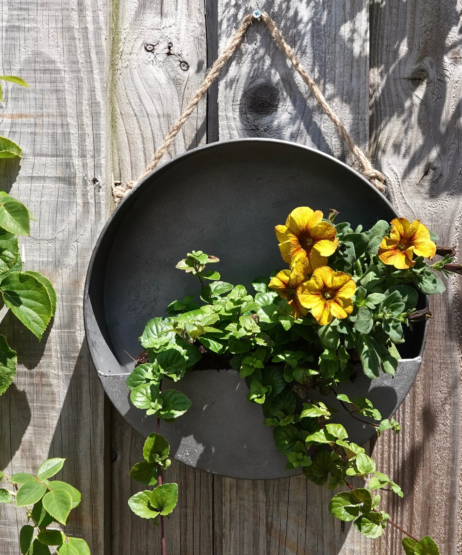 Round Zinc Hanging Wall Planter Etsy
