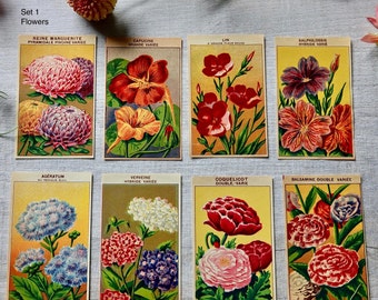 Vintage French Seed Packet Labels - Perfect for Craft Projects, Collage, Framing