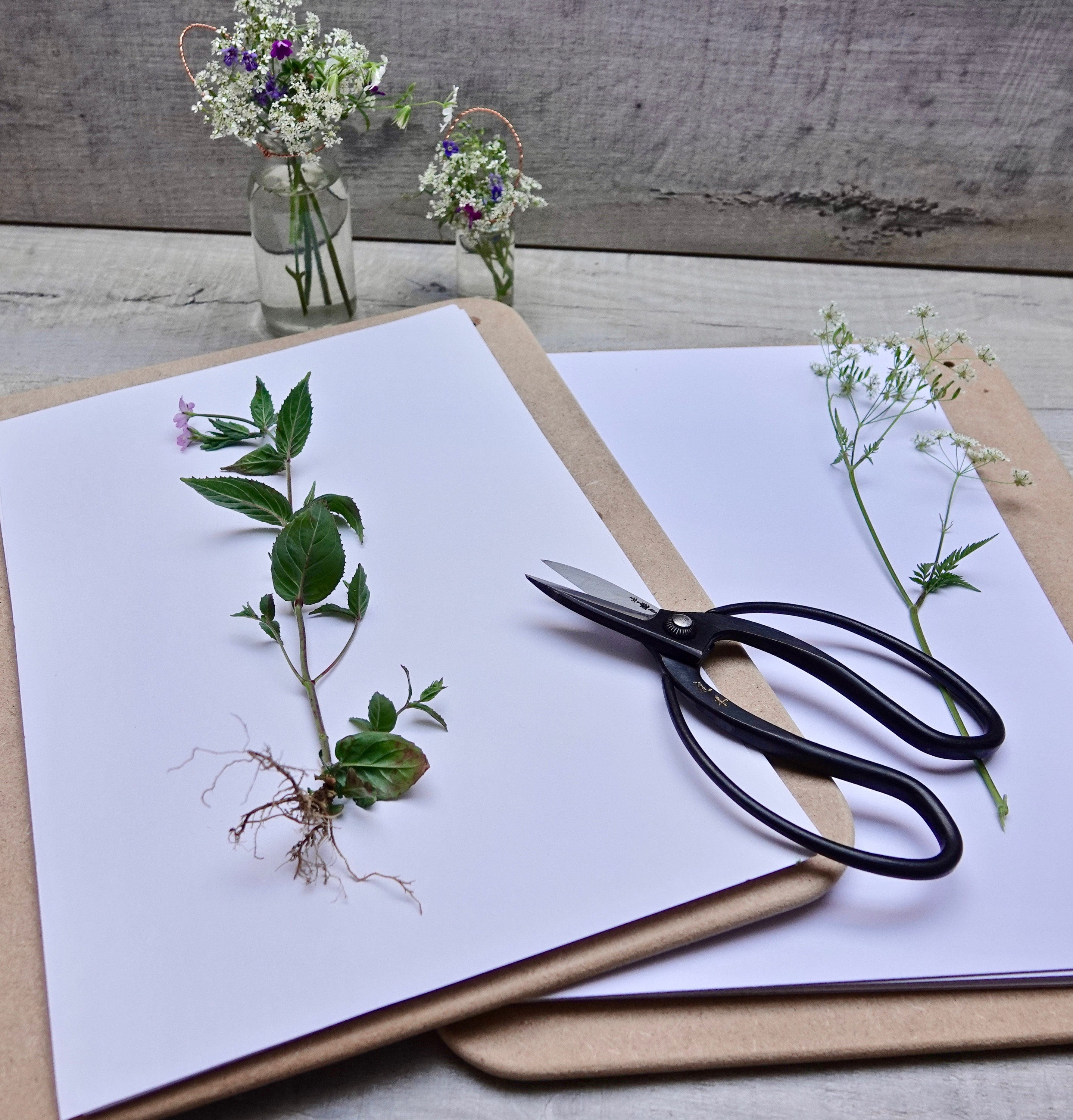 Large Wooden Flower Press Kit Perfect for Creating Botanical Etsy