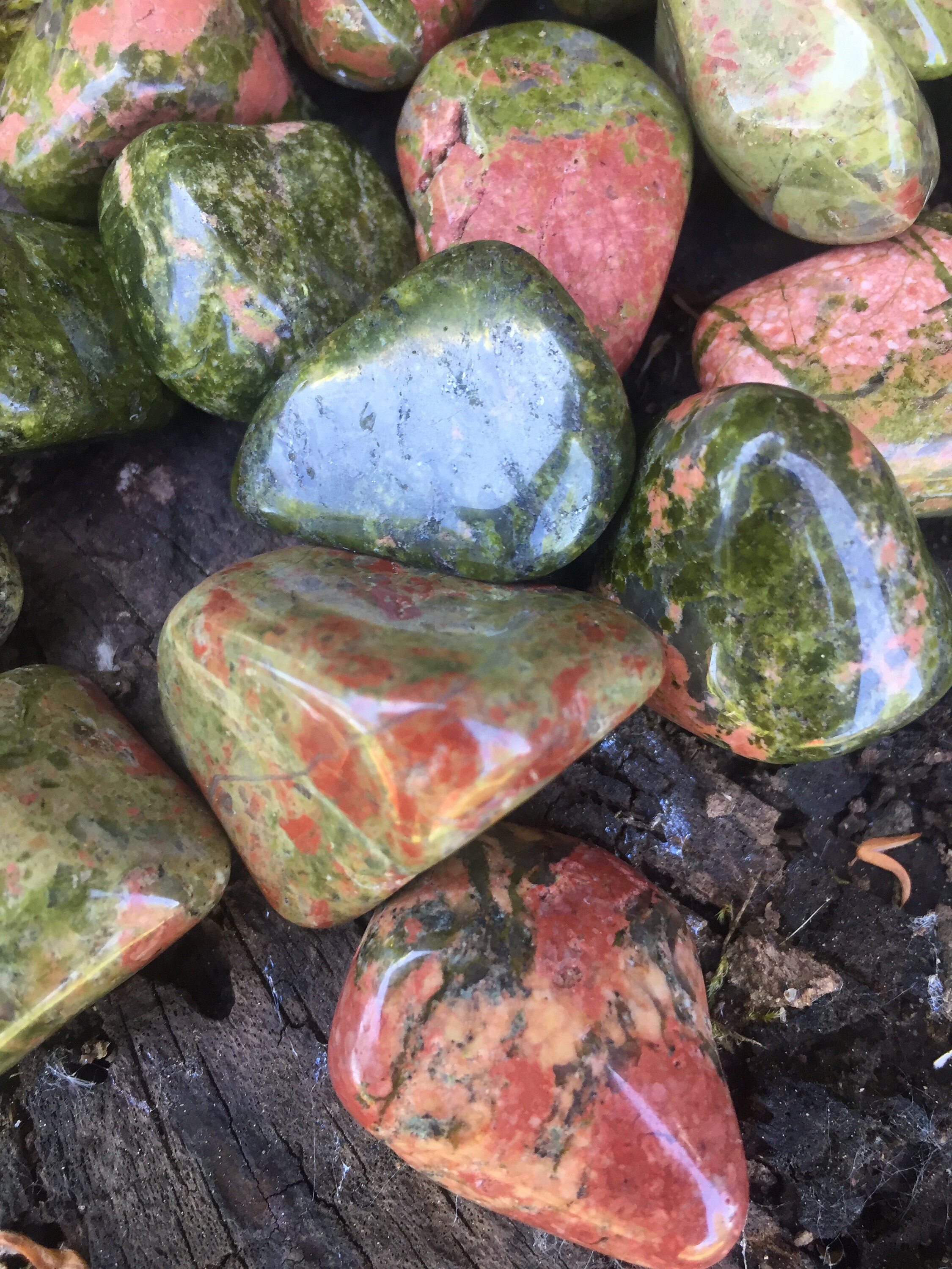 Unakite -Pierre Roulée