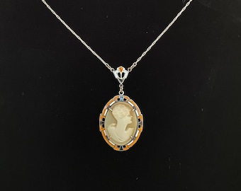 Lovely Vintage Cameo & Enamel Sterling Pendant Necklace
